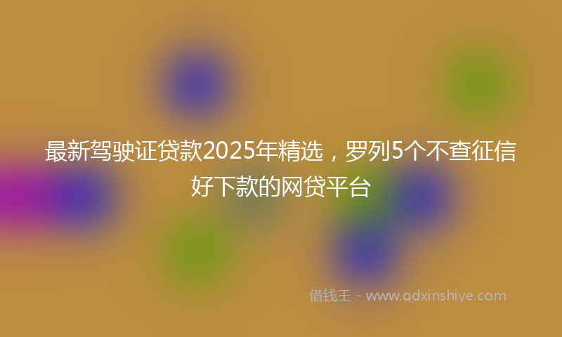 最新驾驶证贷款2025年精选，罗列5个不查征信好下款的网贷平台