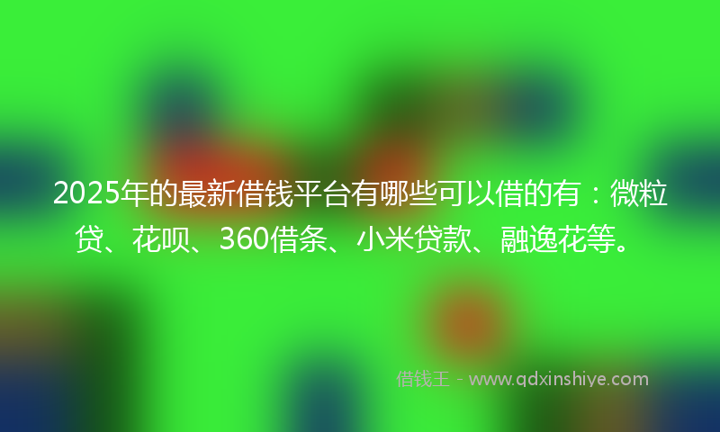 2025年的最新借钱平台有哪些可以借的有：微粒贷、花呗、360借条、小米贷款、融逸花等。