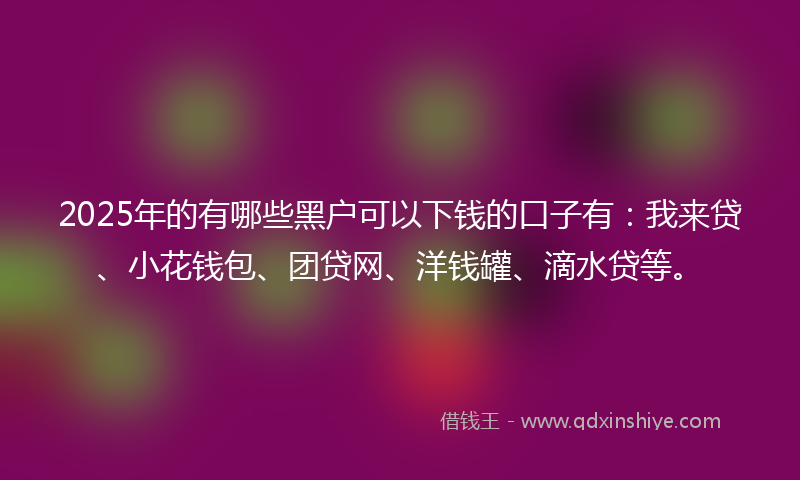 2025年的有哪些黑户可以下钱的口子有：我来贷、小花钱包、团贷网、洋钱罐、滴水贷等。
