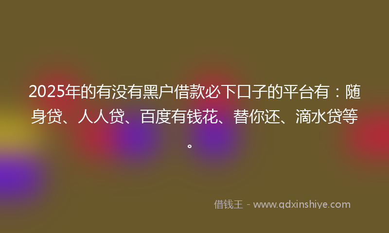 2025年的有没有黑户借款必下口子的平台有：随身贷、人人贷、百度有钱花、替你还、滴水贷等。