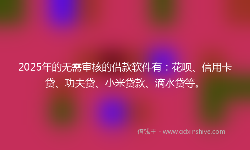 2025年的无需审核的借款软件有：花呗、信用卡贷、功夫贷、小米贷款、滴水贷等。