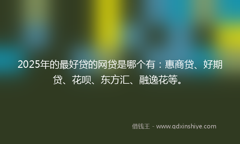 2025年的最好贷的网贷是哪个有：惠商贷、好期贷、花呗、东方汇、融逸花等。