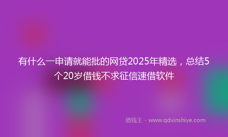 有什么一申请就能批的网贷2025年精选，总结5个20岁借钱不求征信速借软件
