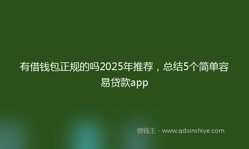 有借钱包正规的吗2025年推荐，总结5个简单容易贷款app