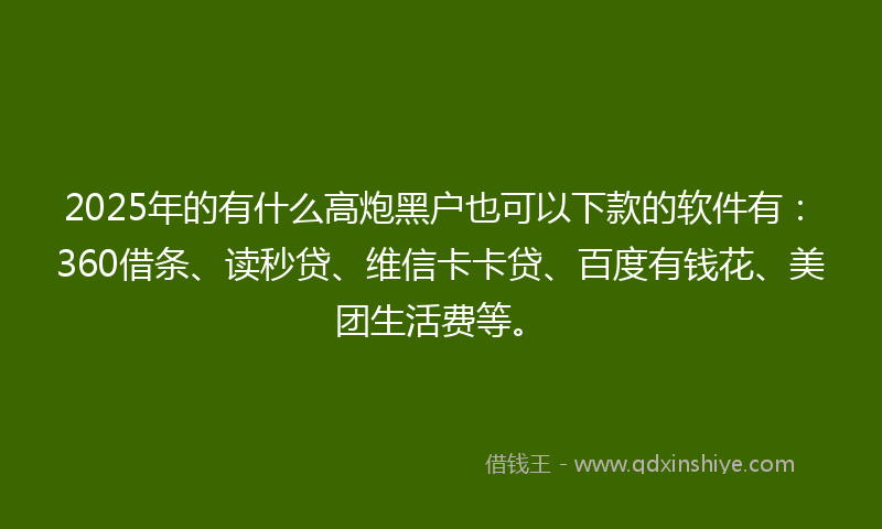2025年的有什么高炮黑户也可以下款的软件有：360借条、读秒贷、维信卡卡贷、百度有钱花、美团生活费等。