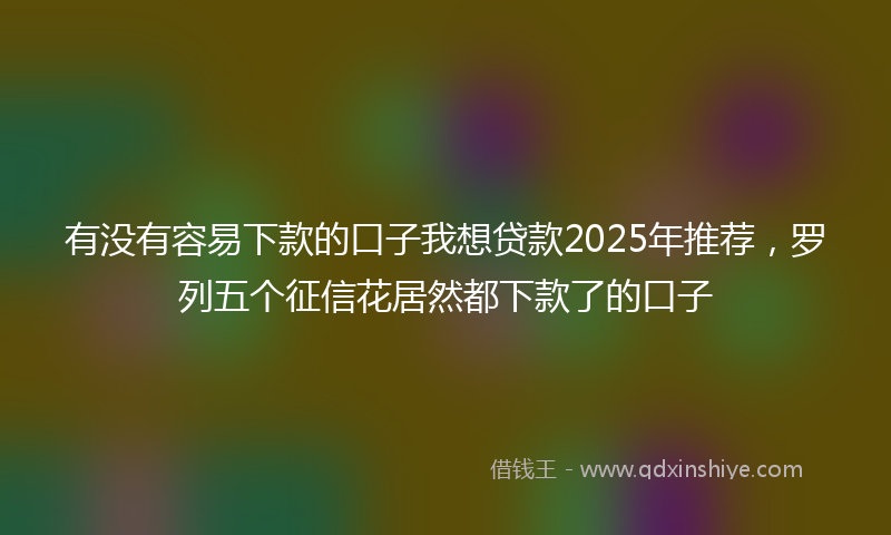 有没有容易下款的口子我想贷款2025年推荐，罗列五个征信花居然都下款了的口子
