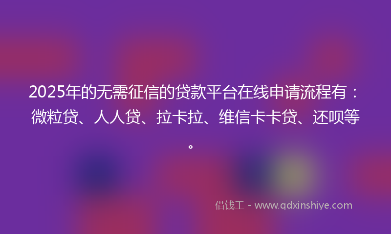 2025年的无需征信的贷款平台在线申请流程有：微粒贷、人人贷、拉卡拉、维信卡卡贷、还呗等。