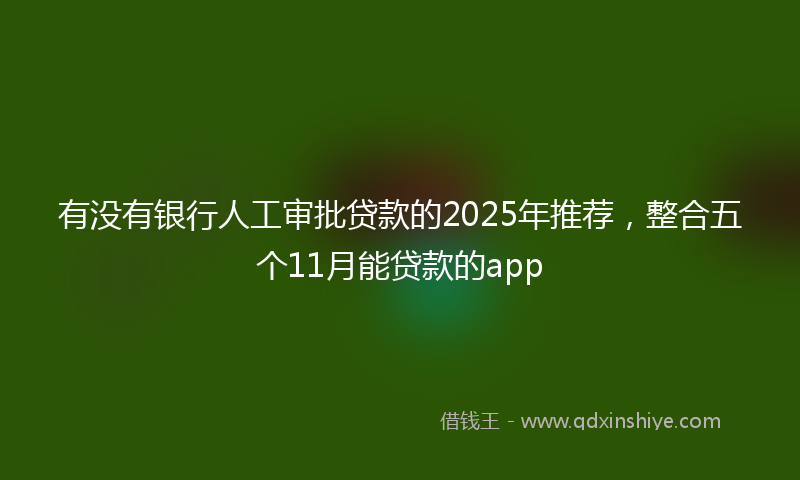 有没有银行人工审批贷款的2025年推荐，整合五个11月能贷款的app