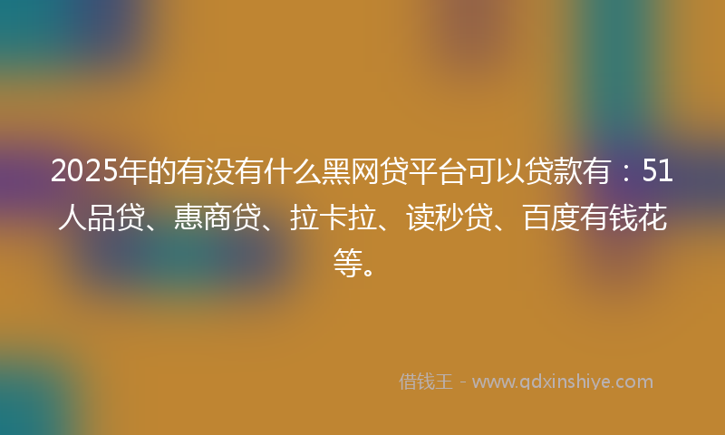 2025年的有没有什么黑网贷平台可以贷款有：51人品贷、惠商贷、拉卡拉、读秒贷、百度有钱花等。