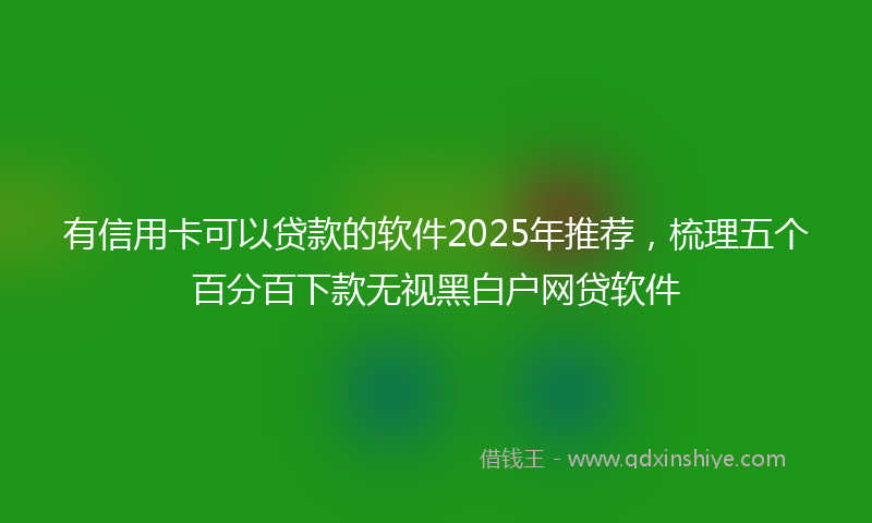 有信用卡可以贷款的软件2025年推荐，梳理五个百分百下款无视黑白户网贷软件
