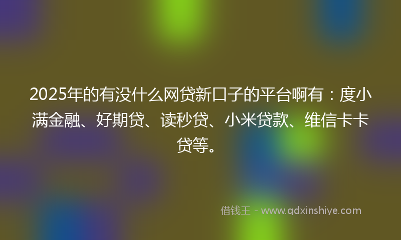 2025年的有没什么网贷新口子的平台啊有：度小满金融、好期贷、读秒贷、小米贷款、维信卡卡贷等。