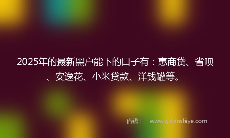 2025年的最新黑户能下的口子有：惠商贷、省呗、安逸花、小米贷款、洋钱罐等。