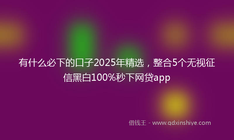 有什么必下的口子2025年精选，整合5个无视征信黑白100%秒下网贷app