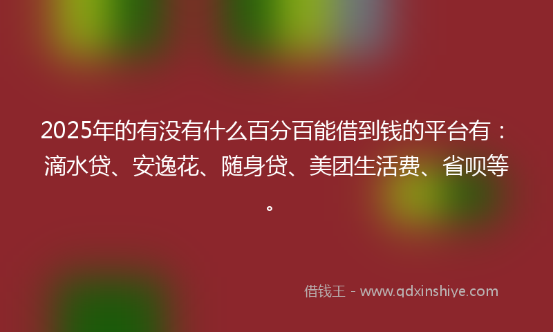 2025年的有没有什么百分百能借到钱的平台有：滴水贷、安逸花、随身贷、美团生活费、省呗等。