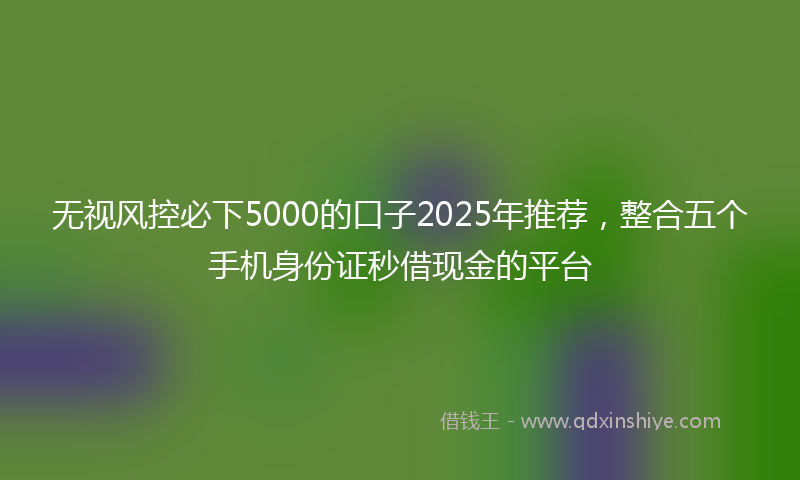 无视风控必下5000的口子2025年推荐，整合五个手机身份证秒借现金的平台