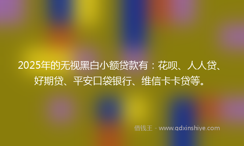 2025年的无视黑白小额贷款有：花呗、人人贷、好期贷、平安口袋银行、维信卡卡贷等。