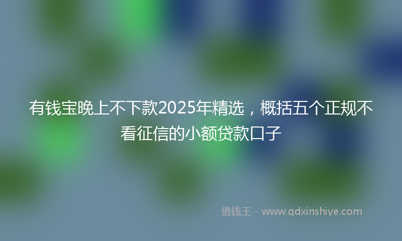 有钱宝晚上不下款2025年精选，概括五个正规不看征信的小额贷款口子
