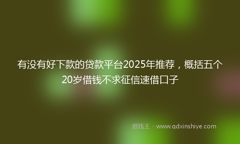 有没有好下款的贷款平台2025年推荐，概括五个20岁借钱不求征信速借口子