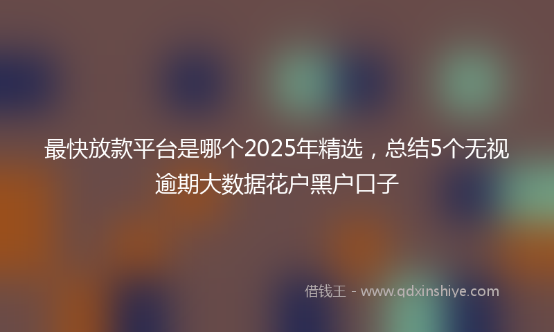 最快放款平台是哪个2025年精选，总结5个无视逾期大数据花户黑户口子