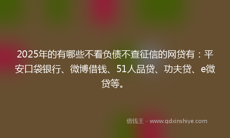 2025年的有哪些不看负债不查征信的网贷有：平安口袋银行、微博借钱、51人品贷、功夫贷、e微贷等。