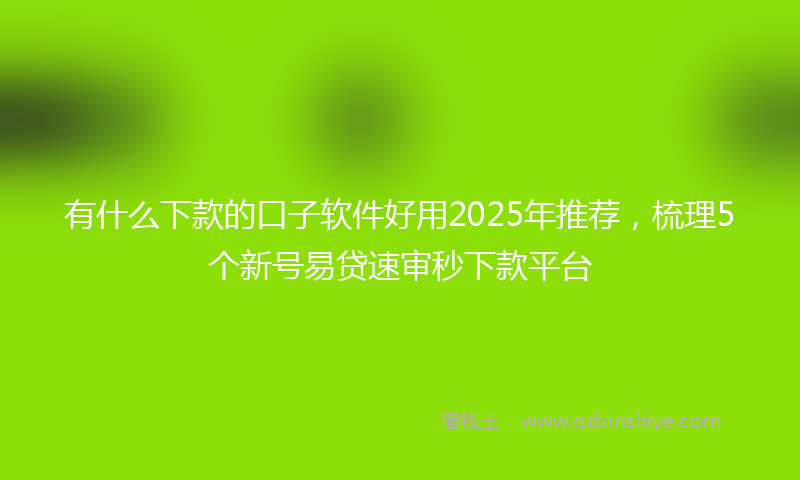 有什么下款的口子软件好用2025年推荐，梳理5个新号易贷速审秒下款平台