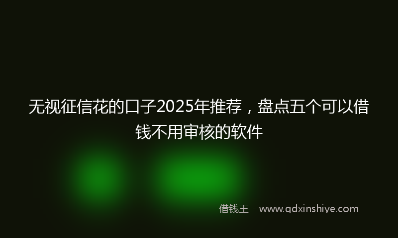 无视征信花的口子2025年推荐，盘点五个可以借钱不用审核的软件