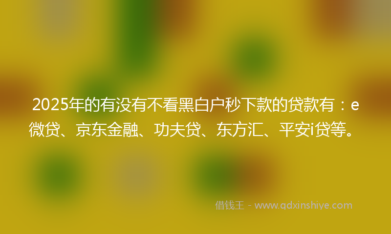2025年的有没有不看黑白户秒下款的贷款有：e微贷、京东金融、功夫贷、东方汇、平安i贷等。