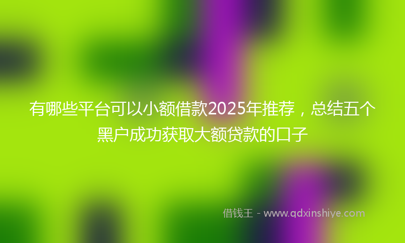 有哪些平台可以小额借款2025年推荐，总结五个黑户成功获取大额贷款的口子