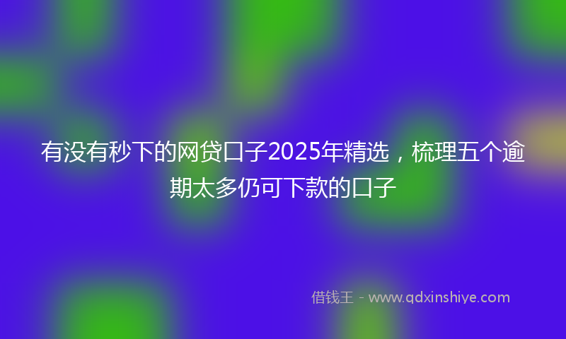 有没有秒下的网贷口子2025年精选，梳理五个逾期太多仍可下款的口子