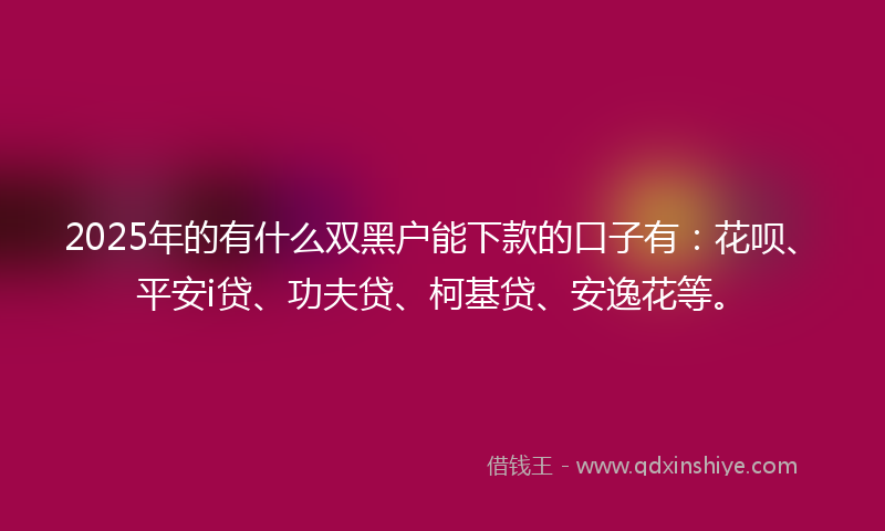 2025年的有什么双黑户能下款的口子有：花呗、平安i贷、功夫贷、柯基贷、安逸花等。