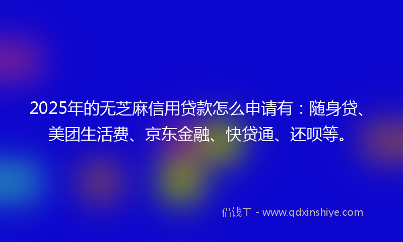 2025年的无芝麻信用贷款怎么申请有：随身贷、美团生活费、京东金融、快贷通、还呗等。
