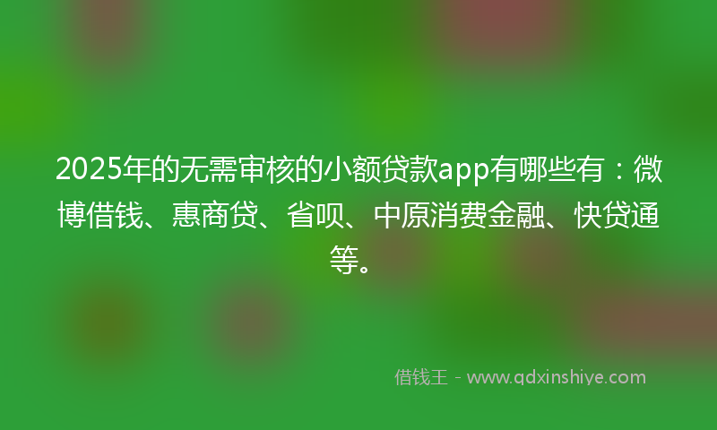 2025年的无需审核的小额贷款app有哪些有：微博借钱、惠商贷、省呗、中原消费金融、快贷通等。