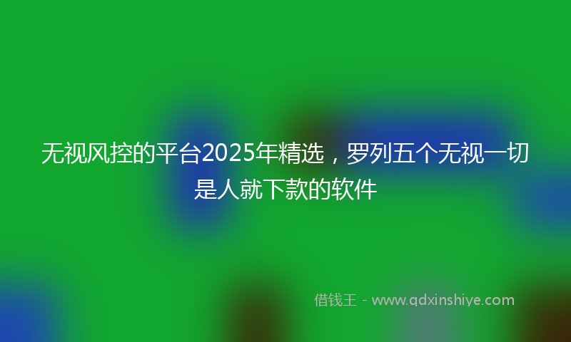 无视风控的平台2025年精选，罗列五个无视一切是人就下款的软件