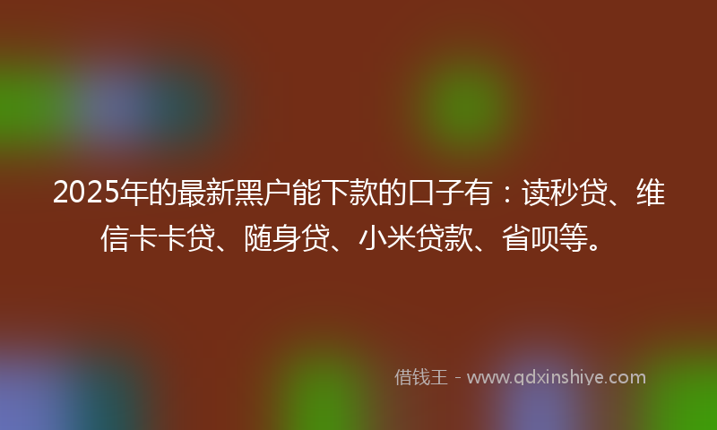 2025年的最新黑户能下款的口子有：读秒贷、维信卡卡贷、随身贷、小米贷款、省呗等。