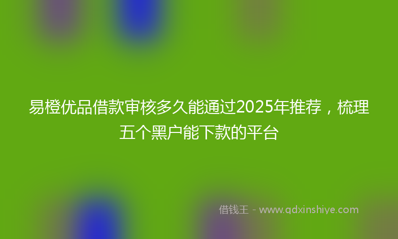 易橙优品借款审核多久能通过2025年推荐，梳理五个黑户能下款的平台