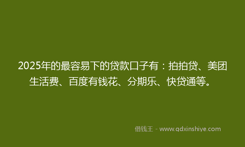 2025年的最容易下的贷款口子有：拍拍贷、美团生活费、百度有钱花、分期乐、快贷通等。