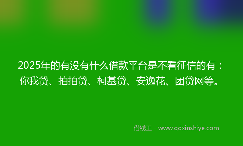 2025年的有没有什么借款平台是不看征信的有：你我贷、拍拍贷、柯基贷、安逸花、团贷网等。