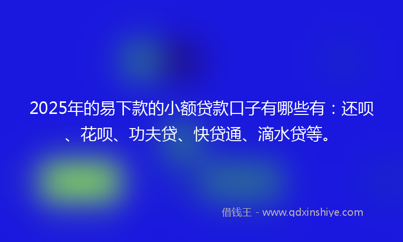 2025年的易下款的小额贷款口子有哪些有：还呗、花呗、功夫贷、快贷通、滴水贷等。
