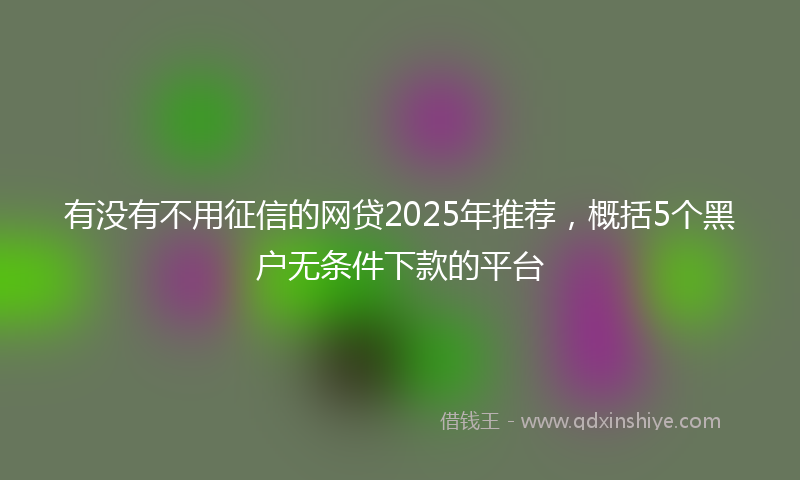 有没有不用征信的网贷2025年推荐，概括5个黑户无条件下款的平台