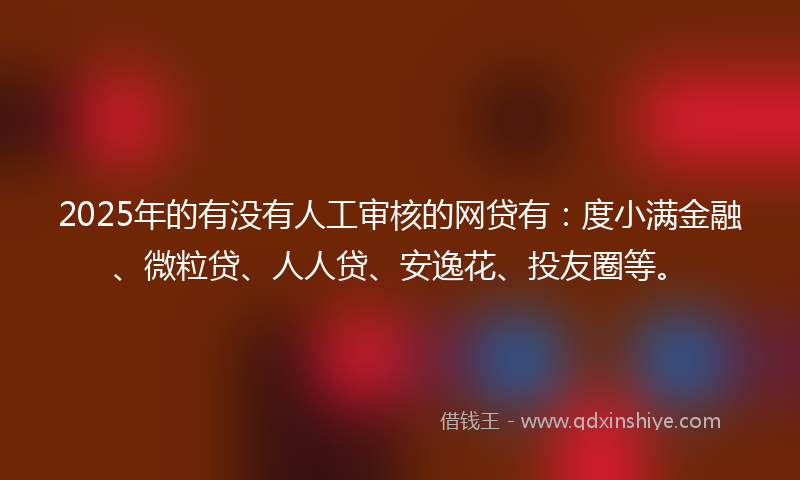 2025年的有没有人工审核的网贷有：度小满金融、微粒贷、人人贷、安逸花、投友圈等。