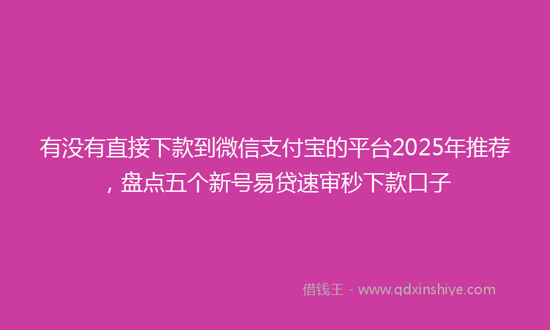 有没有直接下款到微信支付宝的平台2025年推荐，盘点五个新号易贷速审秒下款口子