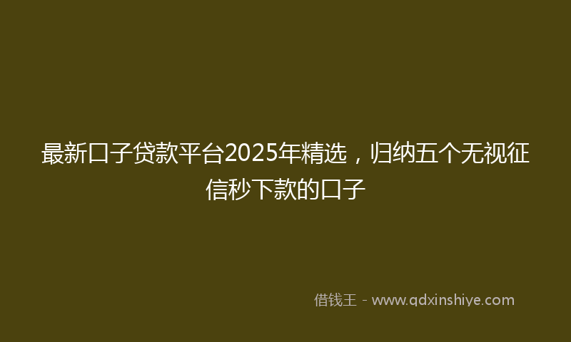 最新口子贷款平台2025年精选，归纳五个无视征信秒下款的口子