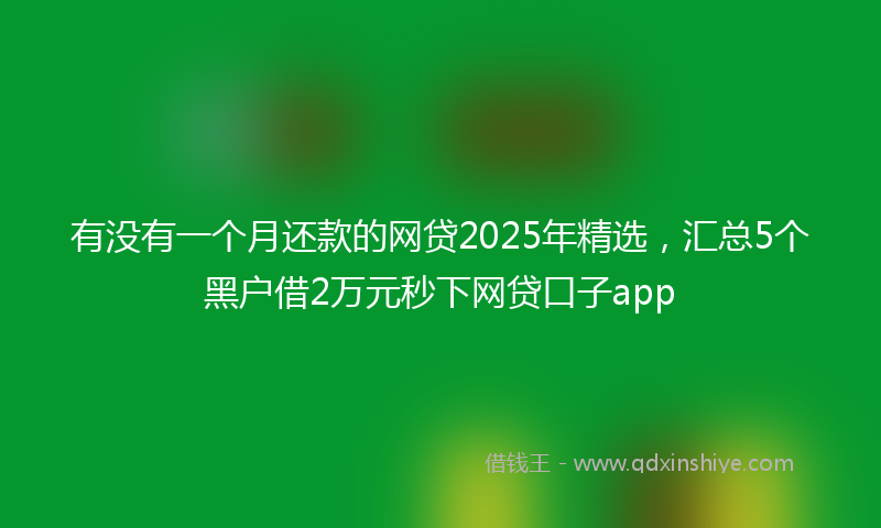 有没有一个月还款的网贷2025年精选，汇总5个黑户借2万元秒下网贷口子app