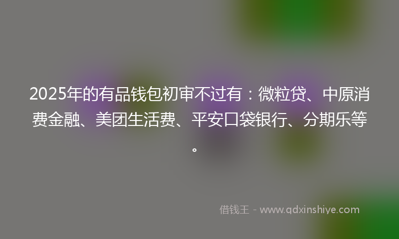 2025年的有品钱包初审不过有：微粒贷、中原消费金融、美团生活费、平安口袋银行、分期乐等。