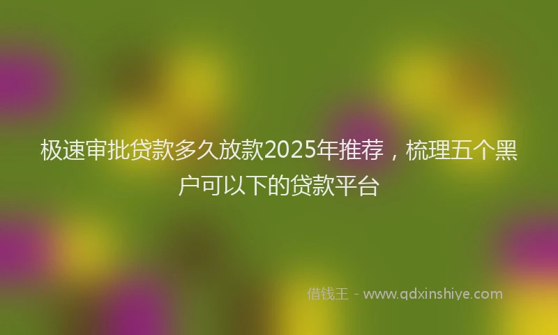极速审批贷款多久放款2025年推荐，梳理五个黑户可以下的贷款平台