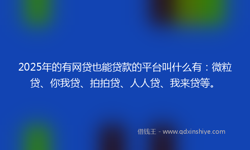 2025年的有网贷也能贷款的平台叫什么有：微粒贷、你我贷、拍拍贷、人人贷、我来贷等。