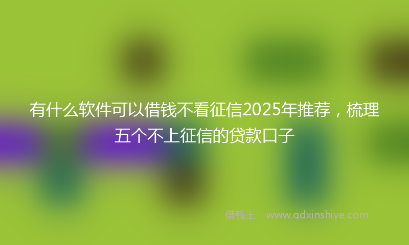 有什么软件可以借钱不看征信2025年推荐，梳理五个不上征信的贷款口子