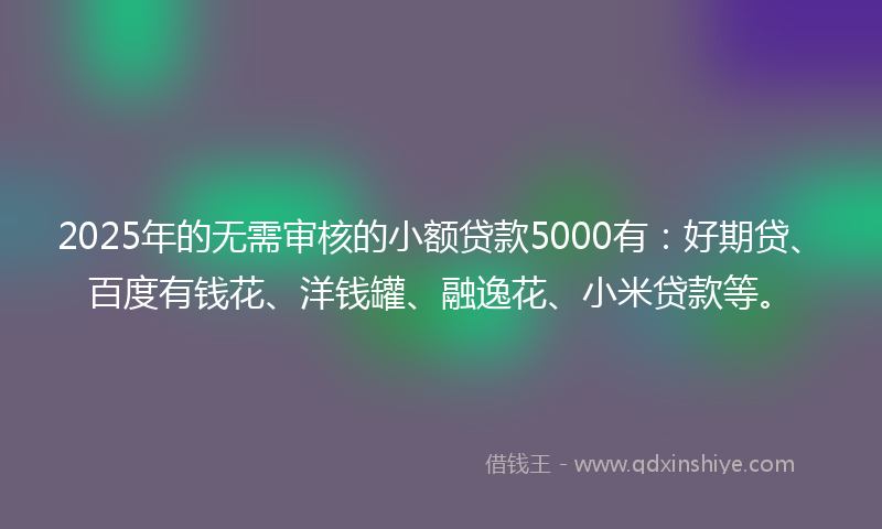 2025年的无需审核的小额贷款5000有：好期贷、百度有钱花、洋钱罐、融逸花、小米贷款等。