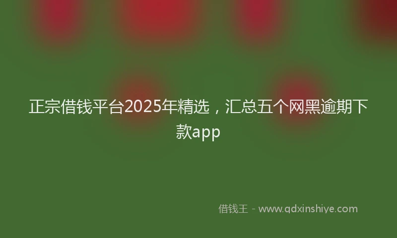 正宗借钱平台2025年精选，汇总五个网黑逾期下款app