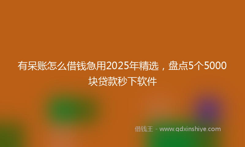 有呆账怎么借钱急用2025年精选，盘点5个5000块贷款秒下软件
